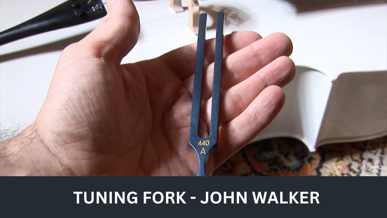 How a Tuning Fork Vibrates a Cello (John Walker 440Hz Test)