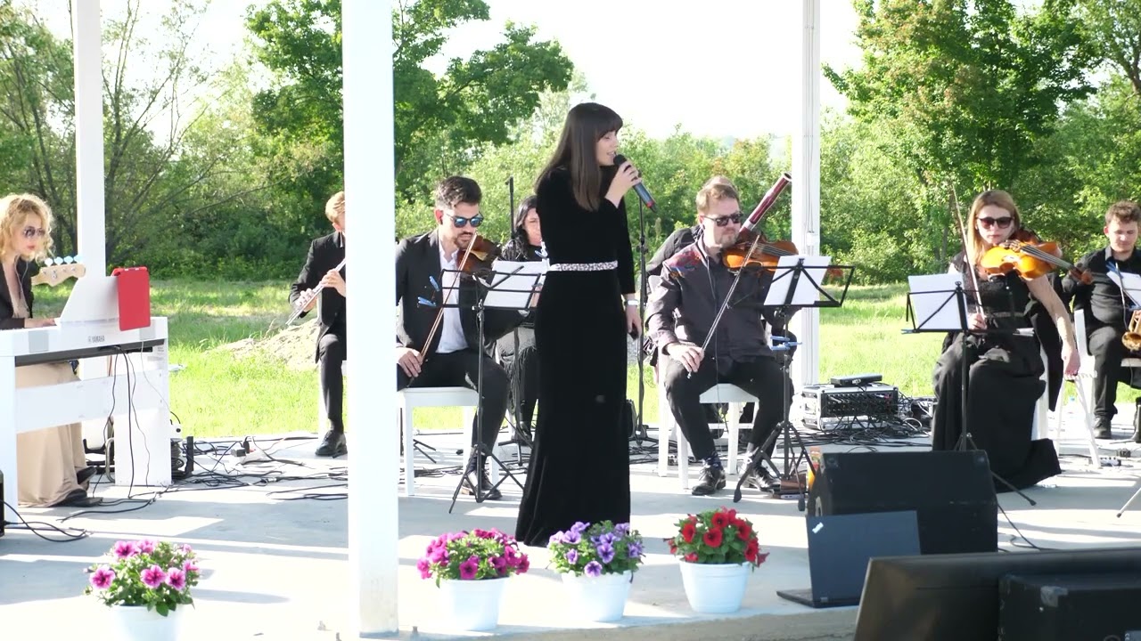 Concert Luiza Spiridon - Centrul de Tineret - Valea Dorului, Murgași