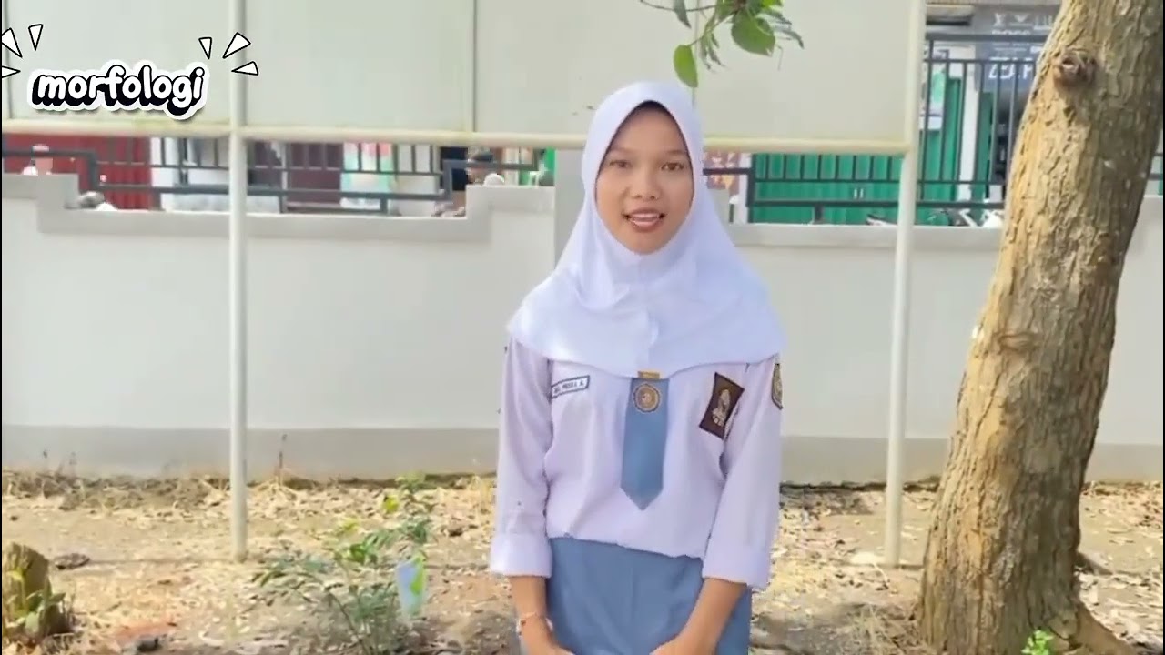 Budidaya Tanaman Jeruk Limau di Lingkungan Sekolah. Kelompok 1 Kelas 12 IPA 1