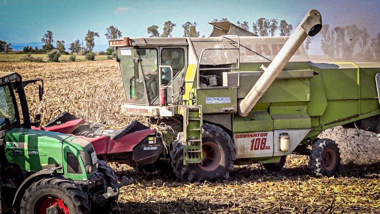 Kukorica aratás 2023 CLAAS Dominator108SL + Greinghoff