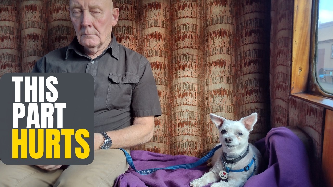 The Emotional Side of Loving a Senior Dog