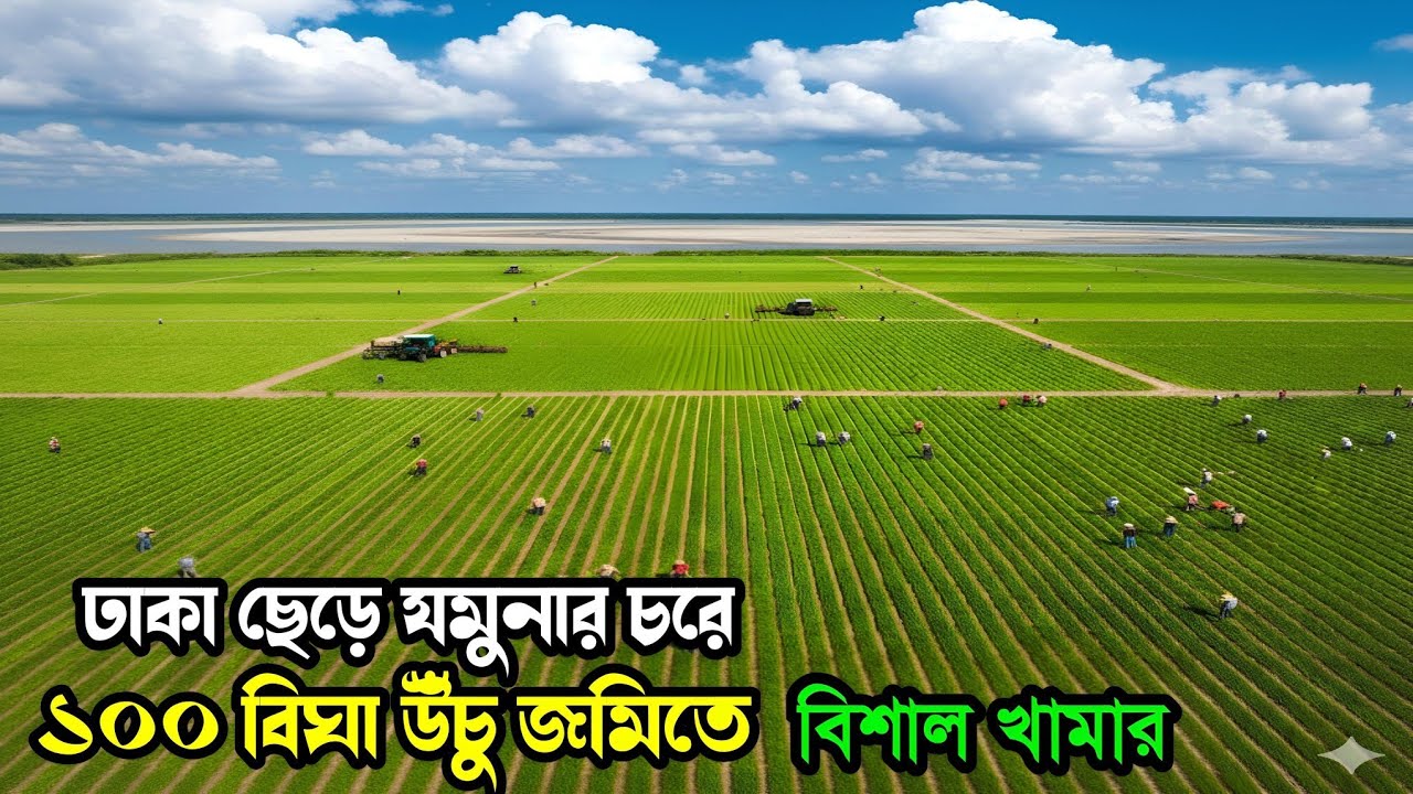 আমাদের ভিডিও দেখে ঢাকা ছেড়ে ১০০ বিঘা জমি নিলেন মানিকগঞ্জে FarmingLife in Bangladesh 