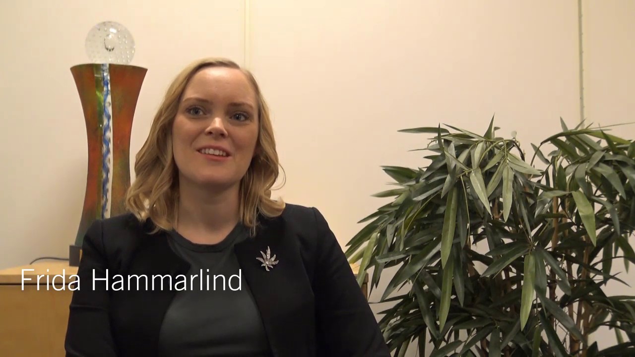 Standarder och digitalisering inom detaljplaneprocessen