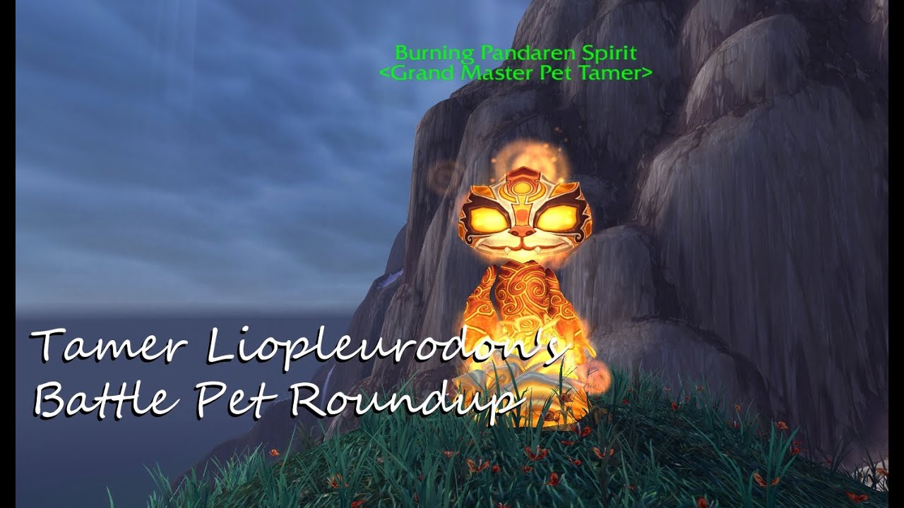 Burning Pandaren Spirit Tamer
