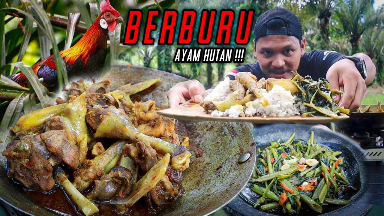 SEDAP BANGET‼️AYAM HUTAN UNGKEP KECAP DAN TUMIS KANGKUNG‼️BERBURU AYAM HUTAN‼️BERBURU DAN MEMASAK‼️