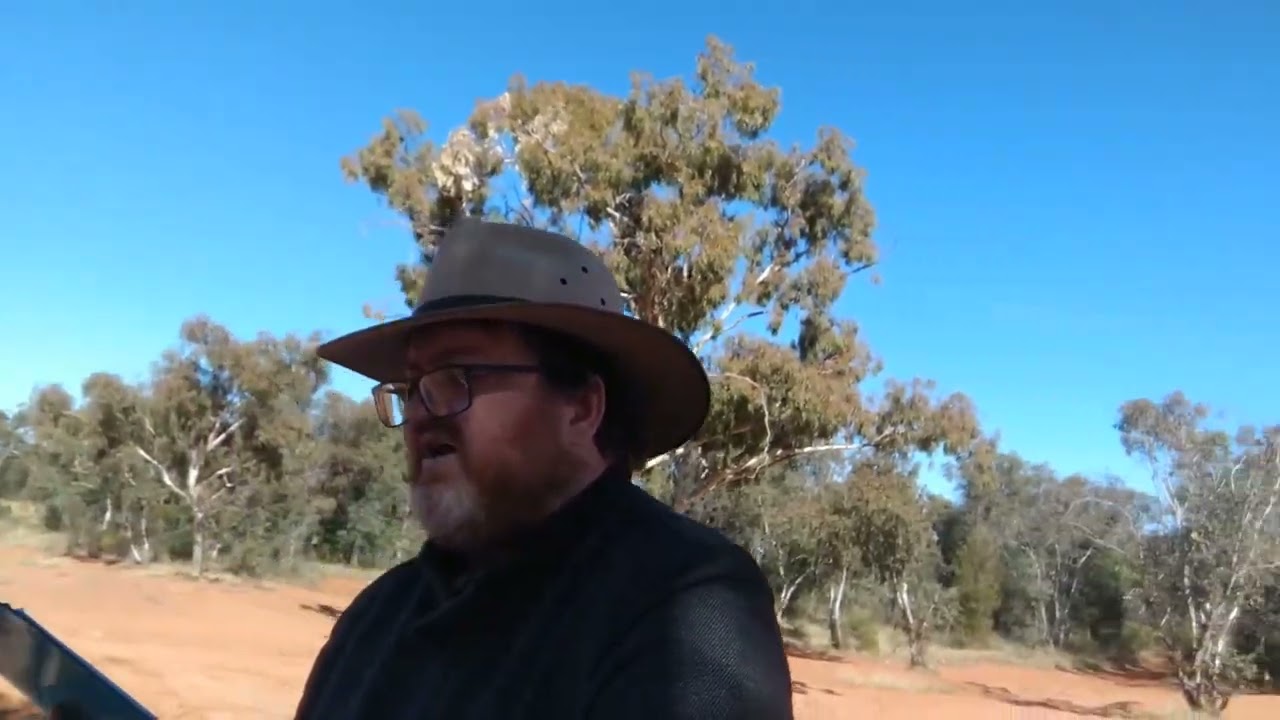 Five Headed Lion   Song