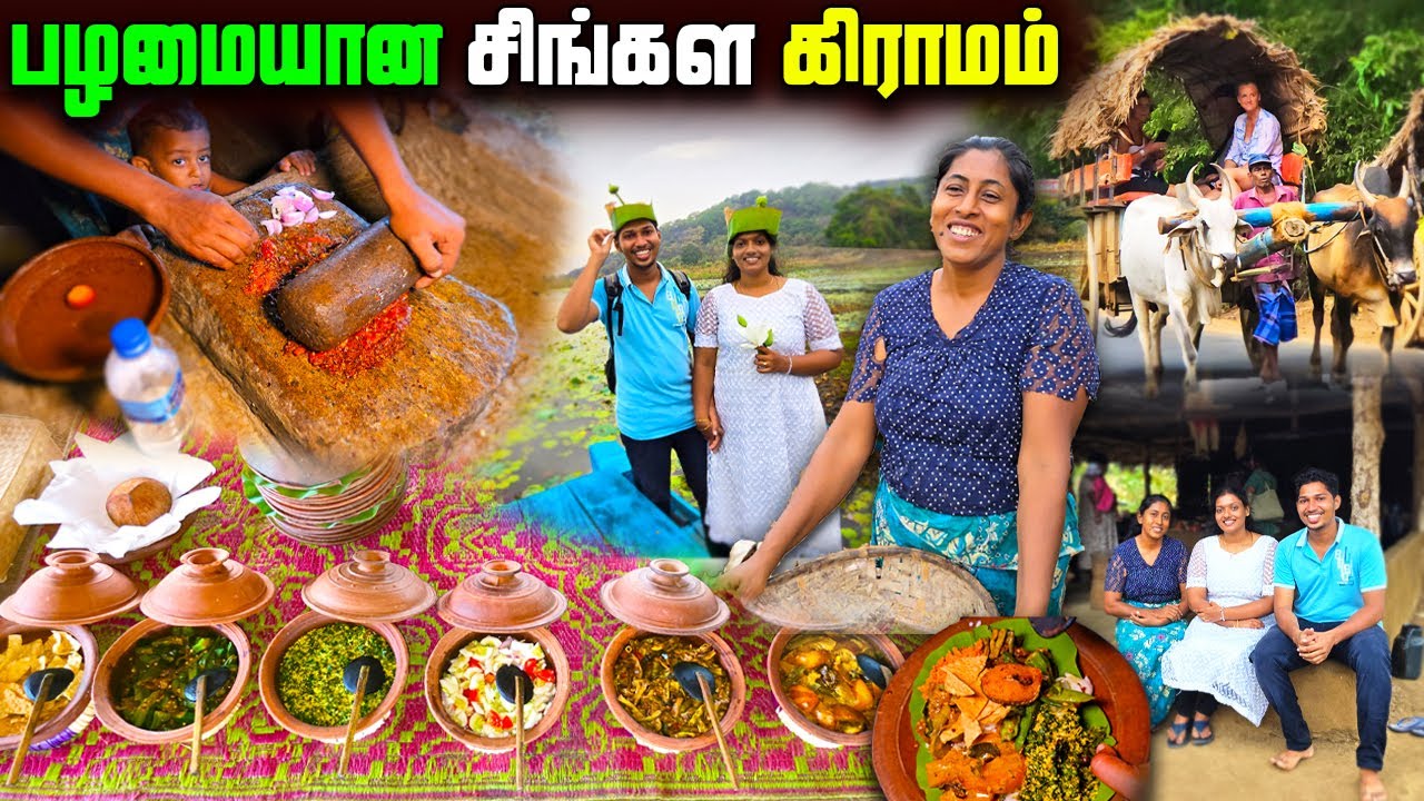 தமிழர் பாரம்பரியத்தை பின்பற்றும் சிங்கள கிராமம்🥰 | Sigiri Village Tour | Sigiriya | Sri Lanka