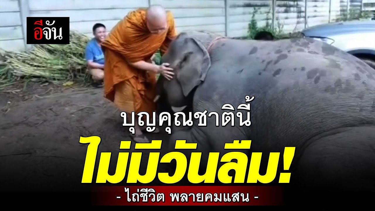 พลายคมแสน หมอบกราบ พระครูอ๊อด ผู้ให้ชีวิตใหม่ | อีจัน EJAN