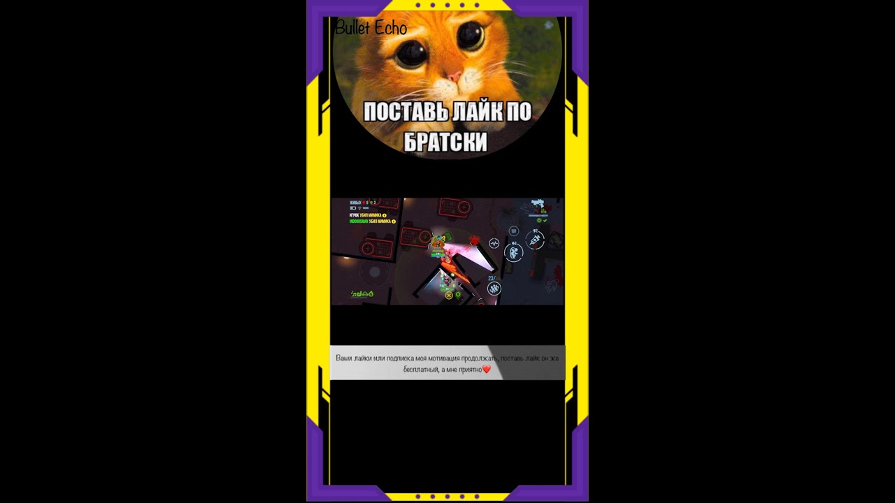 Bullet Echo описание ⬇️