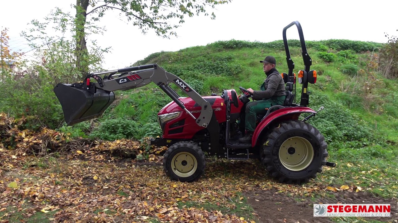 Yanmar SA 235 mit Frontlader MX C3