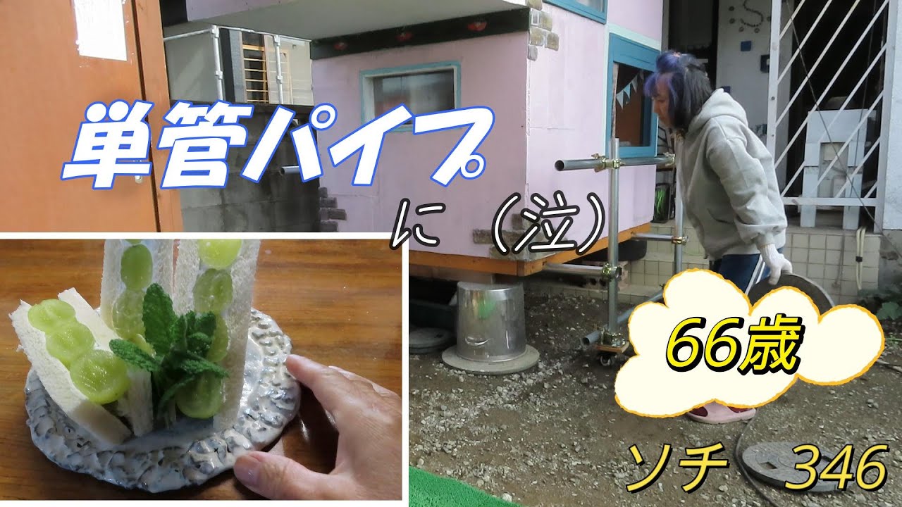 【ソチDIY秘密基地⑩】シャインマスカットコラボです😊誰か助けて～😂