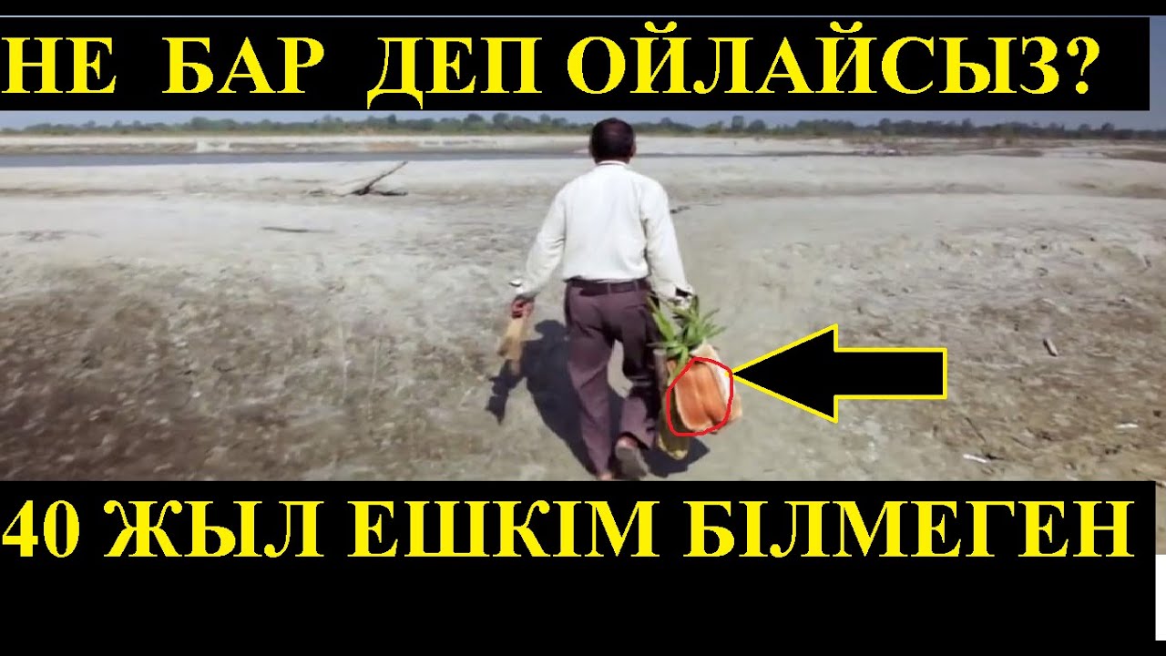 40  жыл бойы сөмкемен не тасығанын ешкім білмеген...