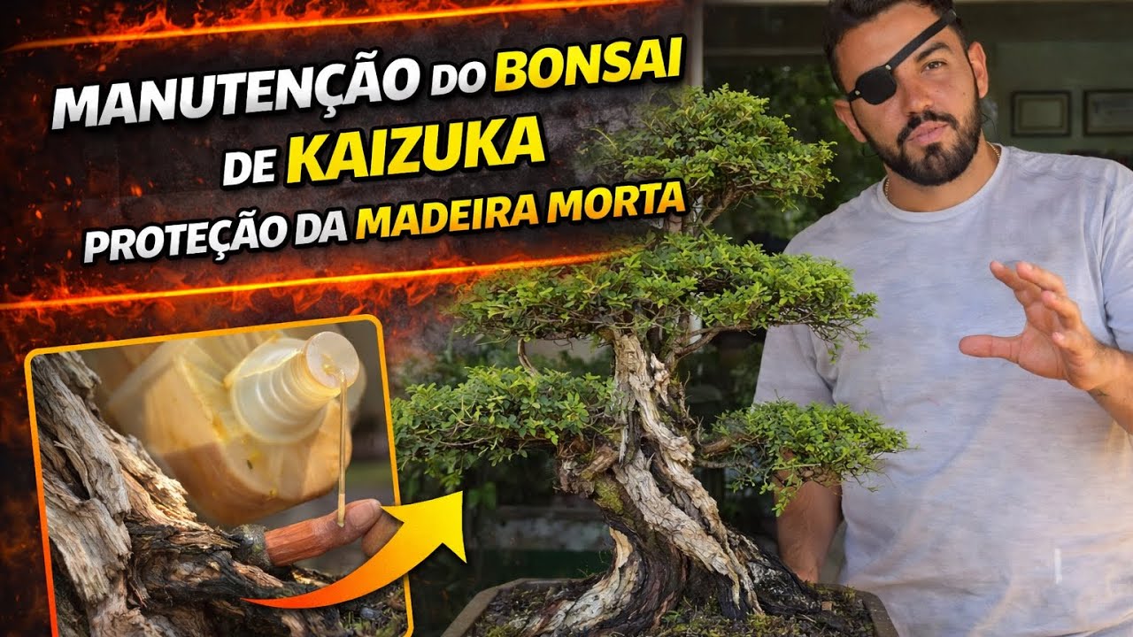 🌲 MANUTENÇÃO DO BONSAI DE KAIZUKA • PROTEÇÃO DA MADEIRA MORTA | CALDA SULFOCÁLCICA 🛠️