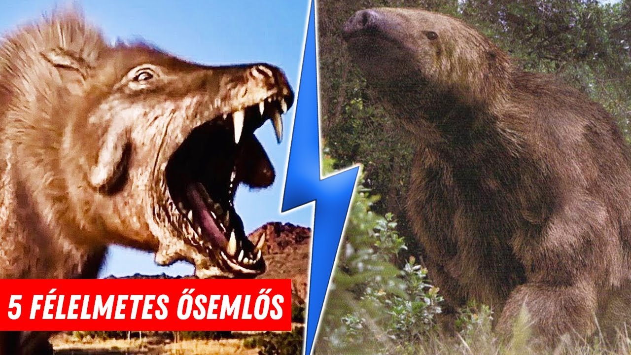 5 FÉLELMETES KIHALT ŐSEMLŐS, AMIVEL NEM NÉZNÉL FARKASSZEMET!