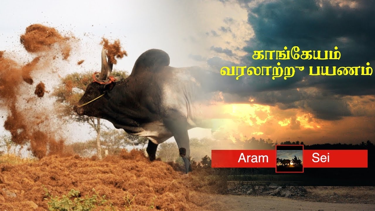 KANGEYAM Documentary