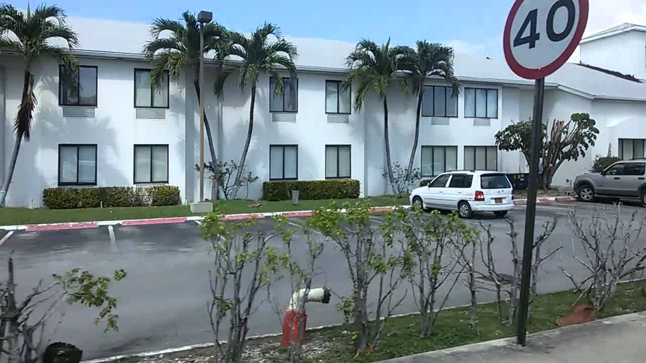 Cayman Island Tour