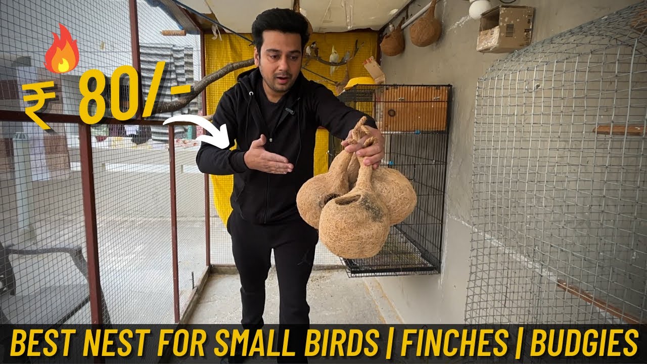 Best Nest Box for Small Birds | Nest for Finch Bird