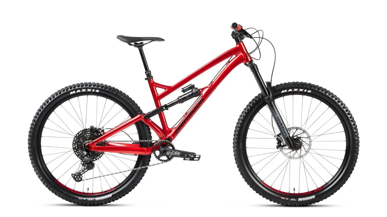 FIRST LOOK: ROWERY BLACKBIRD (PL)