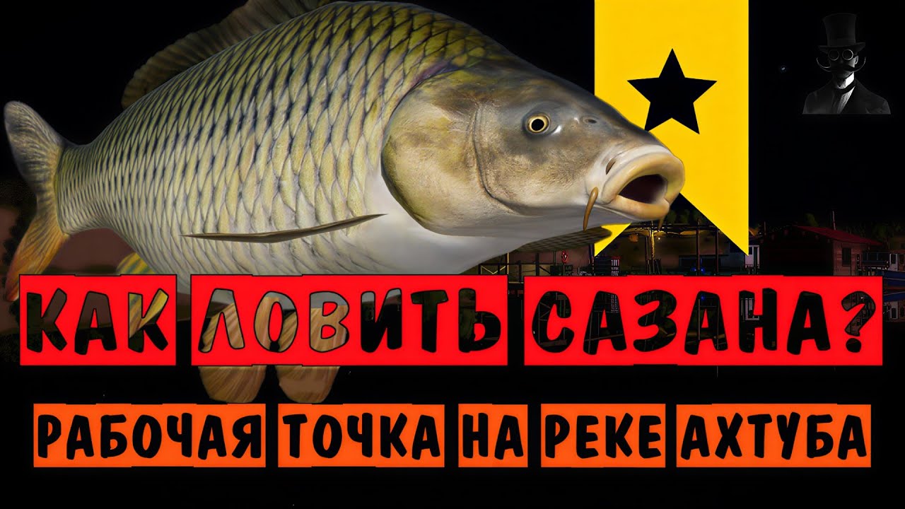 КАК ЛОВИТЬ САЗАНА? Рабочая точка на реке Ахтуба! Точки клёва - Русская Рыбалка 4.