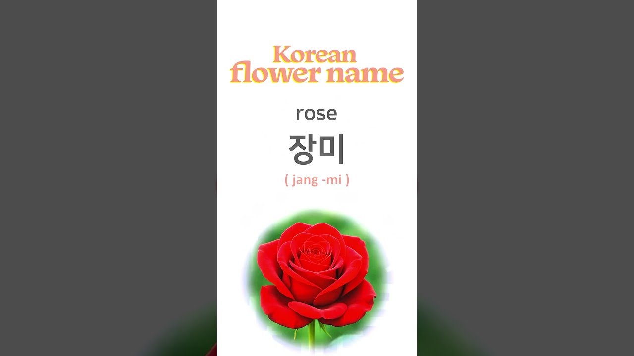 Learn flowers name in Korean language with English meaning 🌺