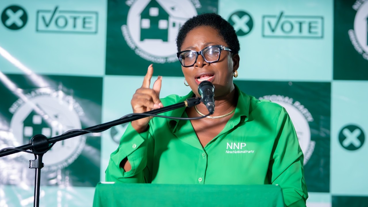 WATCH: Emmalin Pierre’s Full Speech at NNP Connect - St David