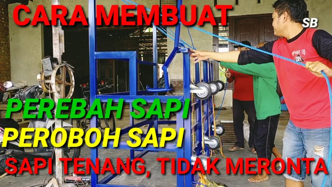ALAT PEREBAH SAPI QURBAN || KANDANG PEROBOH SAPI QURBAN || ALAT MEROBOHKAN SAPI QURBAN