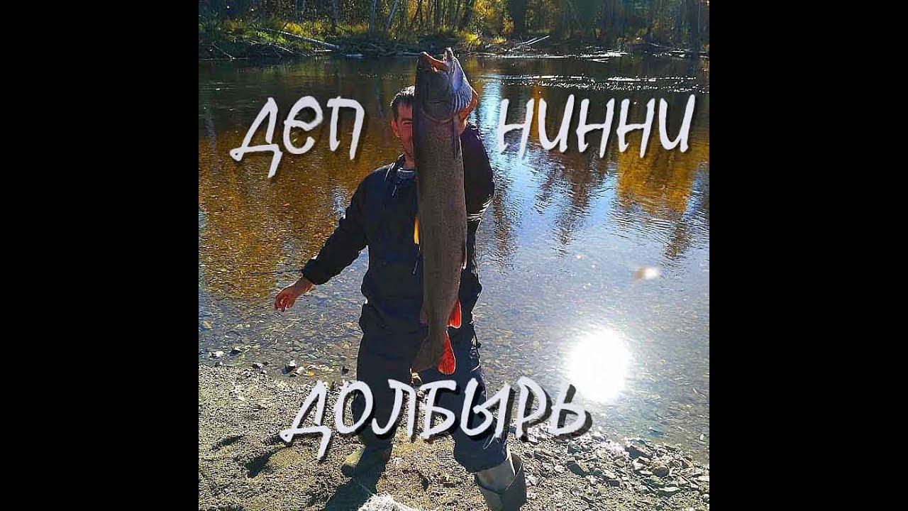 Охота на Тайменя. Река Деп. Долбырь. Нинни. 15.09.2018.