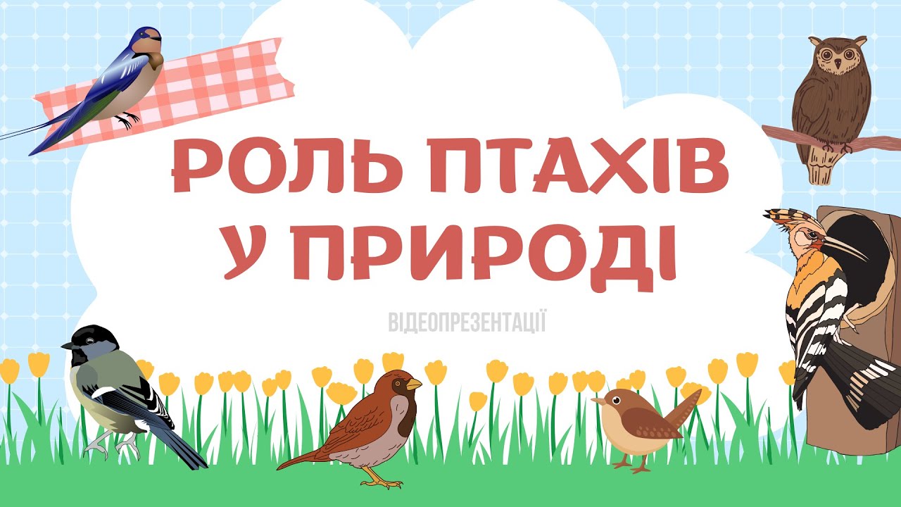 Роль птахів у природі  @uli_vibe