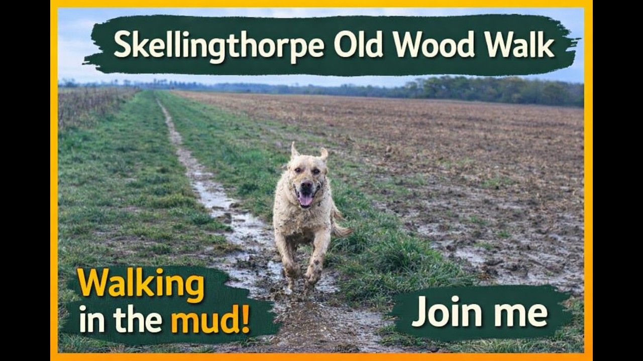 Skellingthorpe Old Wood Walk | Muddy Countryside Dog Walk Adventure