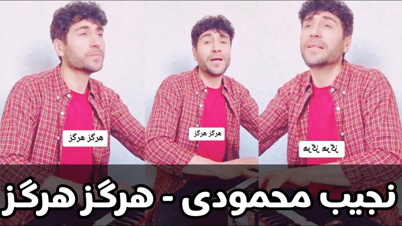 Najib Mahmoodi- Hargiz Hargiz | نجیب محمودی - هرگز هرگز