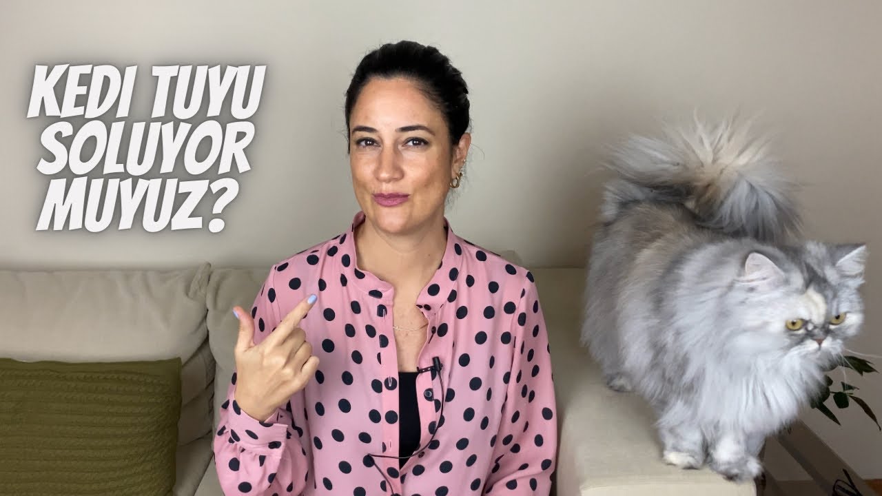 Kedili evde hava temizleyici denemesi: Alerjimi azalttı mı? Tüyleri topladı mı? Tüy mü soluyoruz?