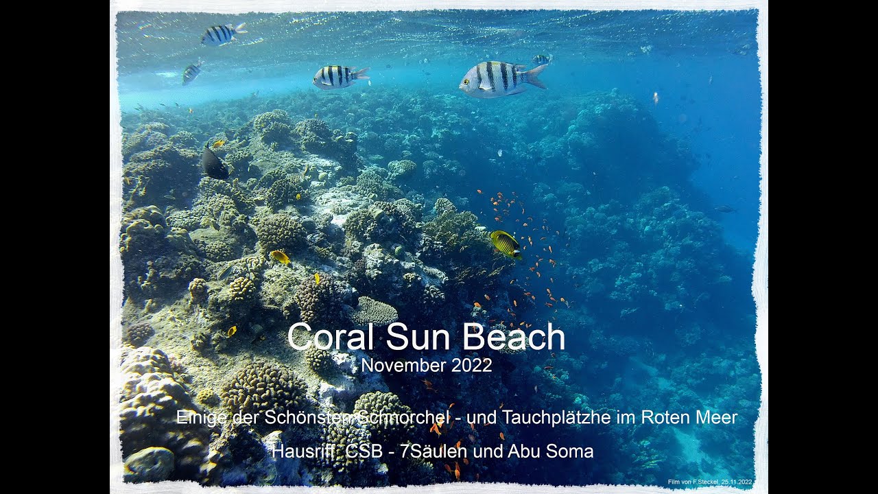 Gassous Bay  -  Coral Sun Beach  -  Nov 2022