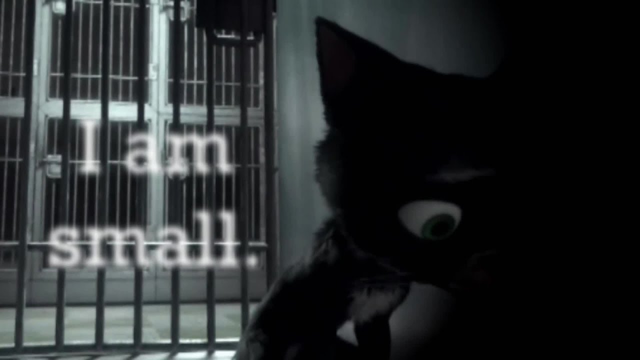 Breathe Me | Full MEP