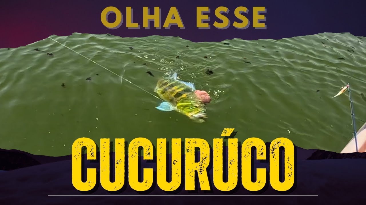 OLHA O TAMANHO DESSE CUCURÚCO !!! #pescaria #pesca #pescaesportiva #tucunare #fishing #tucunareazul