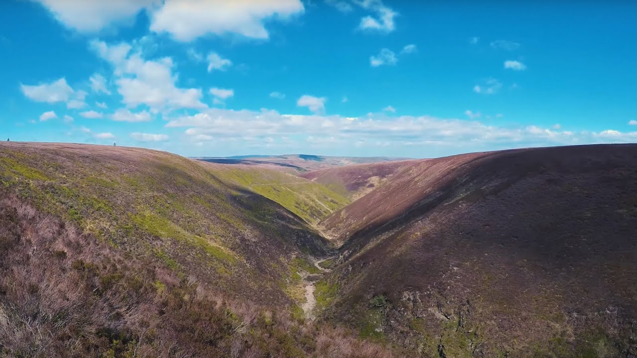Langden Brook, Bowland Forest
