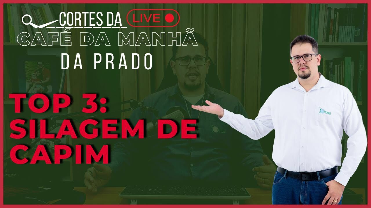 Top 3 da melhor silagem de capim para sua fazenda!