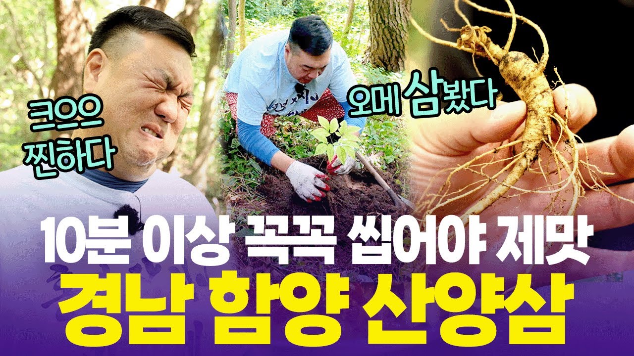 살살살 흙 털어내고나면 귀한 산양삼이 내 손에🤩원기회복 제대로 한 백승일  [6시 내고향] | KBS 250930 방송