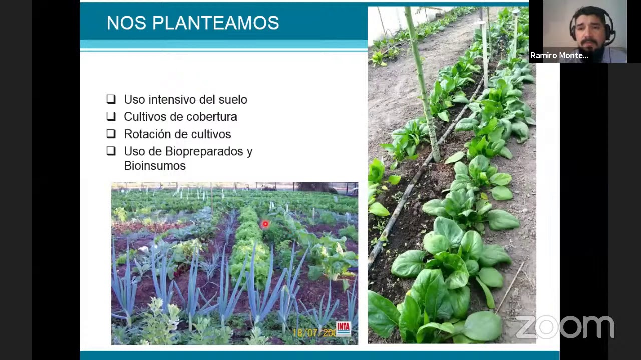 Biopreparados y bioinsumos en cultivos Frutihorticolas