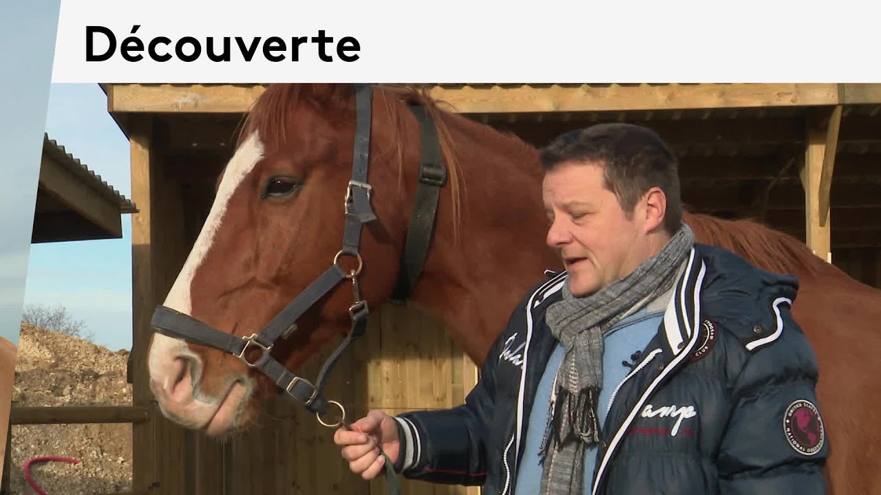Au sud de Tours : découvert des écuries actives, un nouveau concept d'hébergement