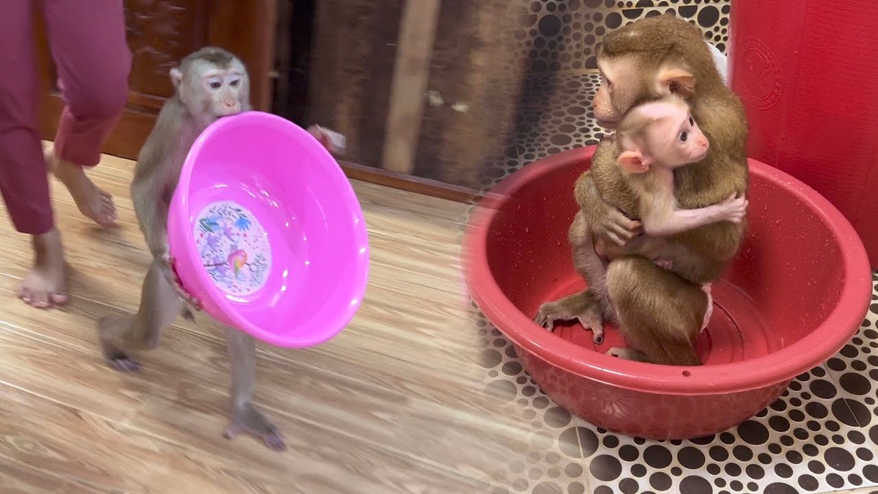 Smrt Judee Use New Bucket To Mix Warm Water Bathing Joyee