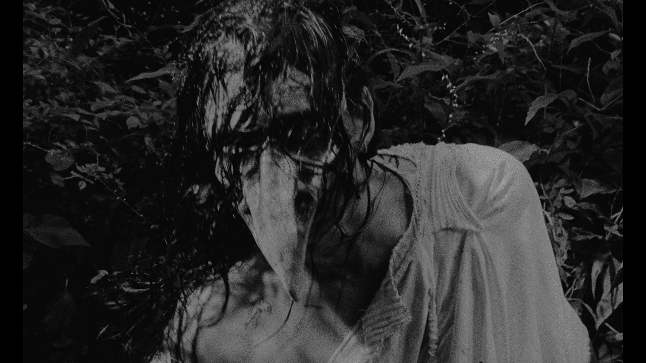 @ - Bird  (Official Video)