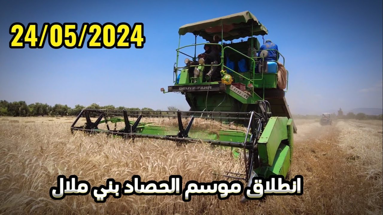 أجي تشوف انطلاق موسم الحصاد  من القراقب بني ملال 24/05/2024