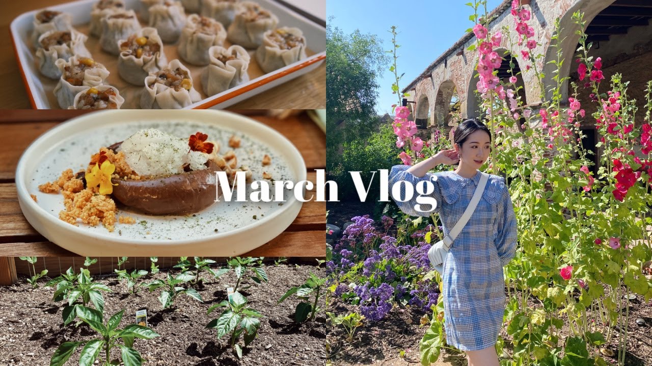 MARCH VLOG | 三月点滴｜包烧卖｜菜地update｜涤纶开箱｜久违的约会｜
