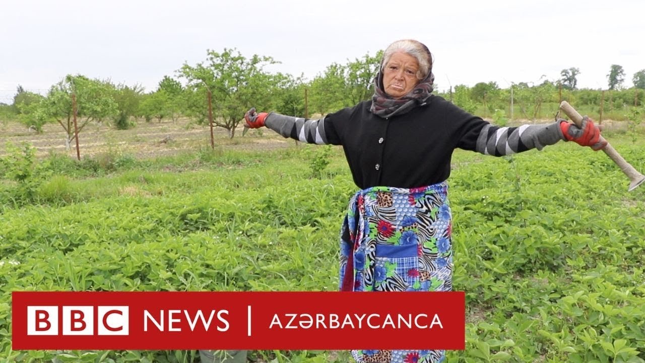 Xaçmazın susuzluqdan quruyan kəndləri
