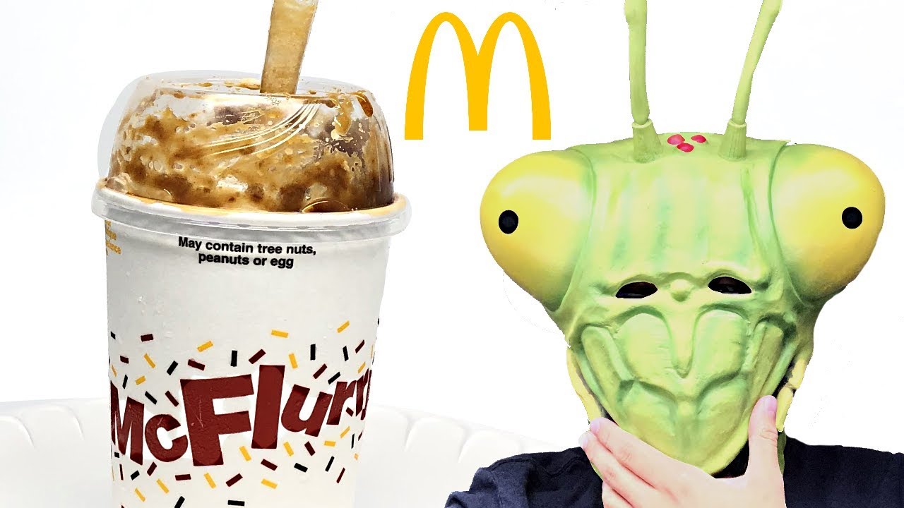 NEW McDonald's Stroopwafel McFlurry review! Worldwide Favorites!