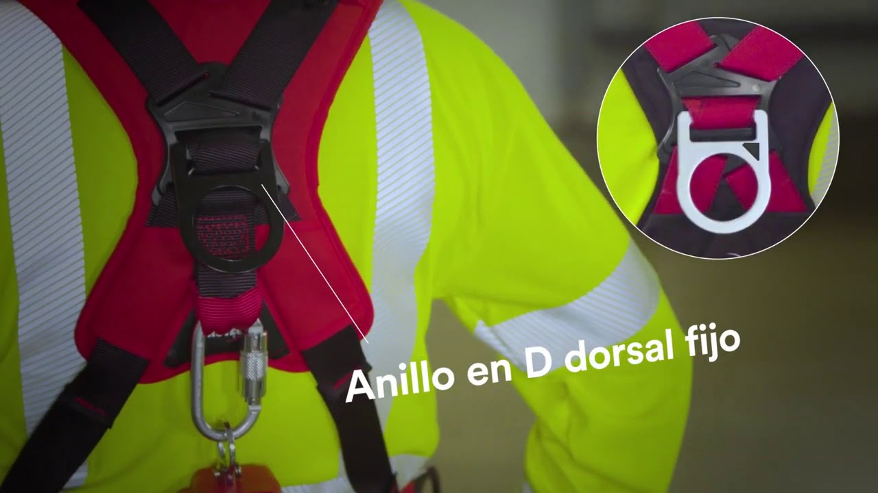 Nuevos Arneses Protecta 3M