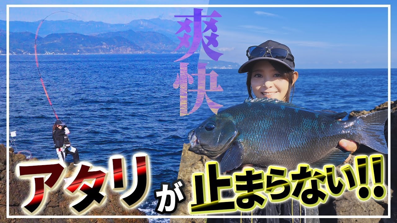 【寒グレ】数釣りの中から良型を引き出すコツ【磯釣り・フカセ釣り】