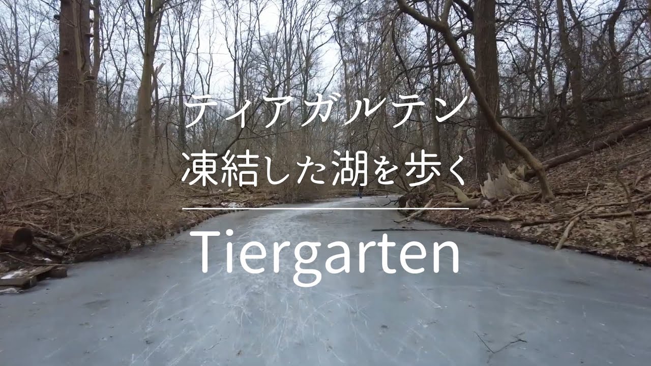 ティアガルテン、凍結した湖を歩く / Walking on a frozen lake in Tiergarten