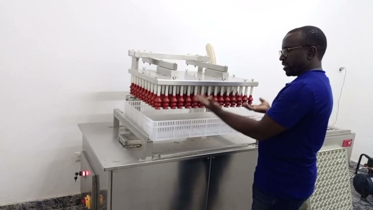 Enfin un couvoir industriel pour la production des poussins d'un jour dans le septentrion