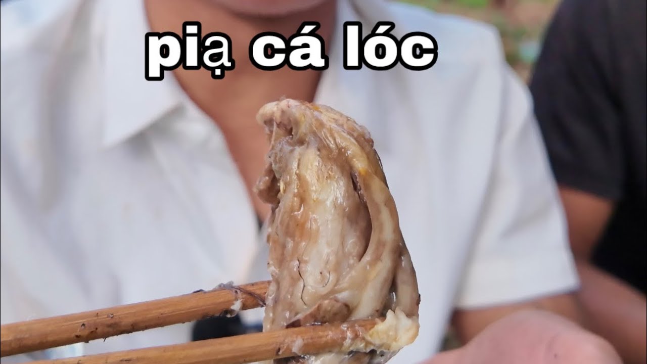 CÁ LÓC NƯỚNG GIẤY BẠC | Y ĐIÊU | 
